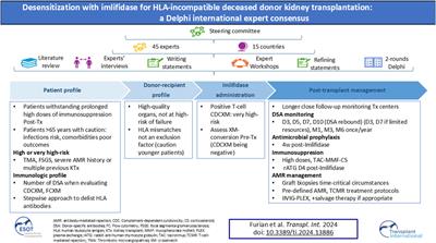 Desensitization With Imlifidase for HLA-Incompatible Deceased Donor Kidney Transplantation: A Delphi International Expert Consensus